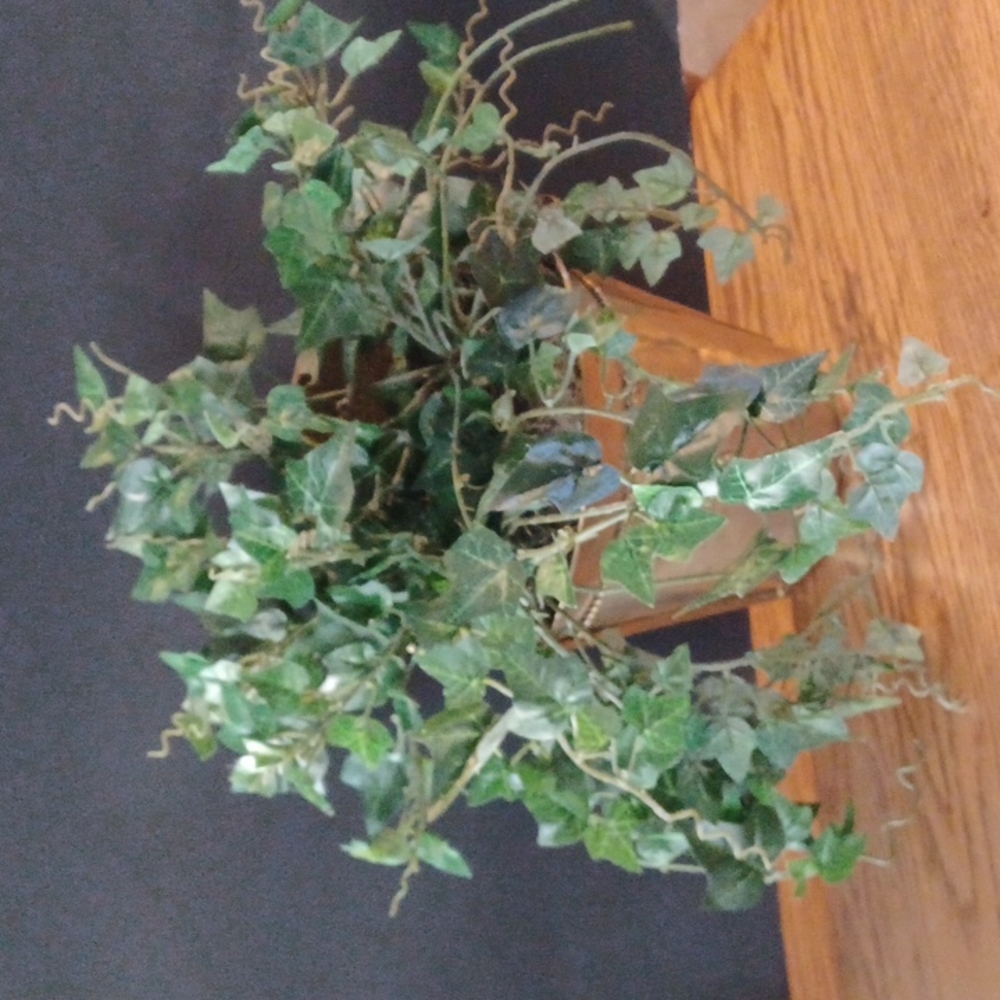 Faux brass ivy wall planter
